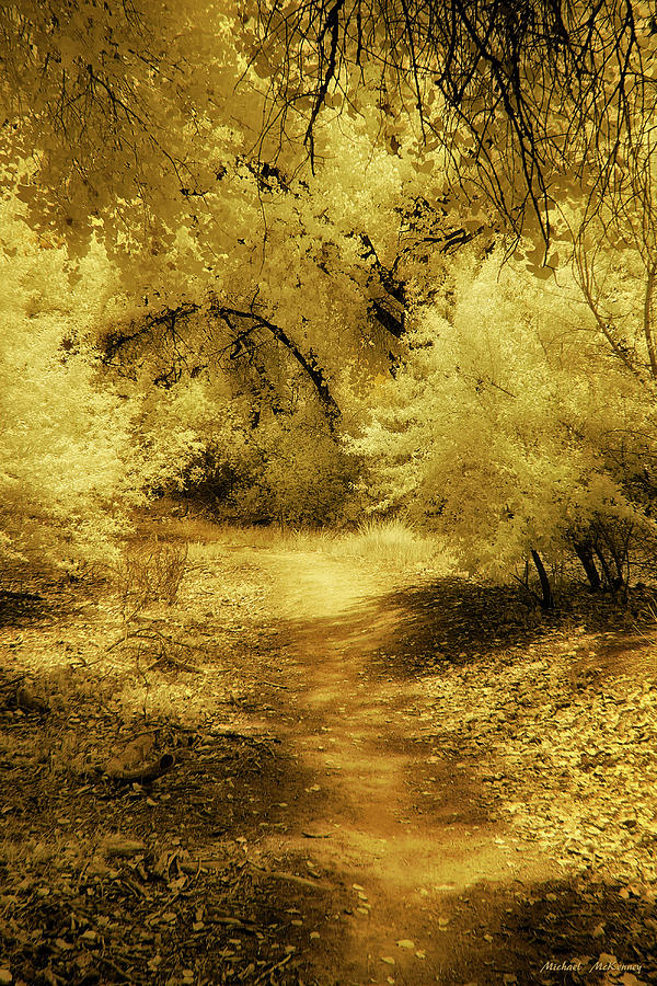 Follow the Yellow Dirt Road Photograph by Michael McKenney