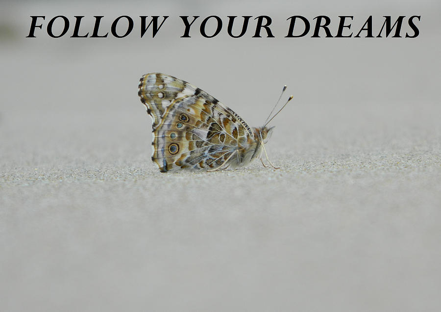 Follow Your Dreams - blk Photograph by Gallery Of Hope 