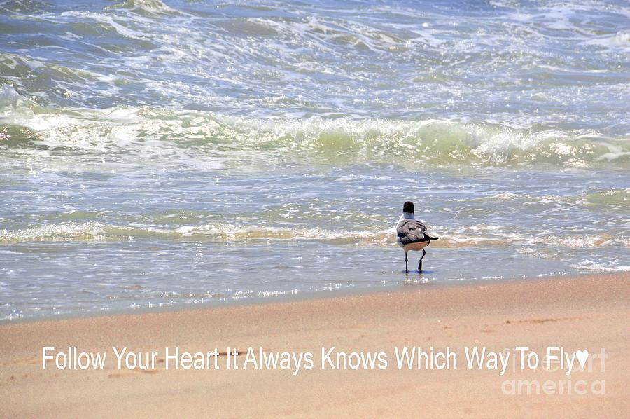 Follow Your Heart Inspirational Art Photograph by Robyn King