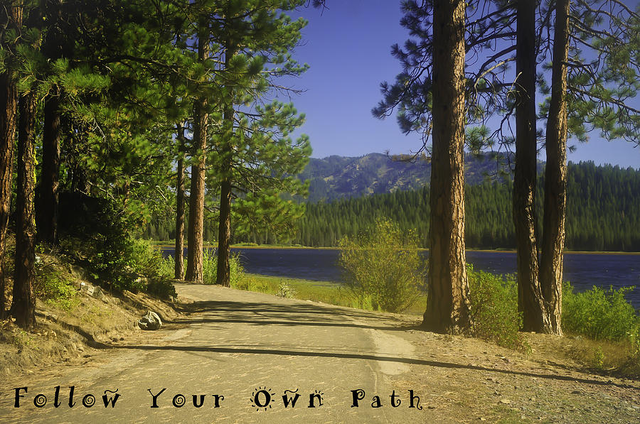 Follow Your Own Path Photograph by Sherri Meyer