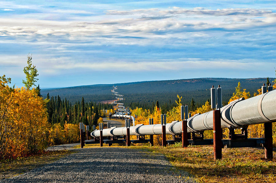 Following the TransAlaska Pipeline Photograph by Cathy Mahnke