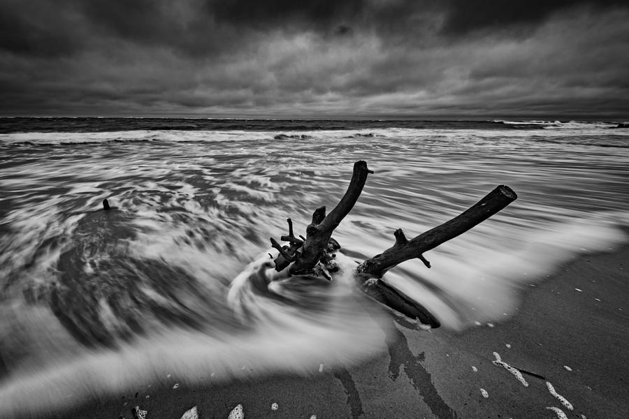 Tree Photograph - Folly Beach Boneyard by Rick Berk