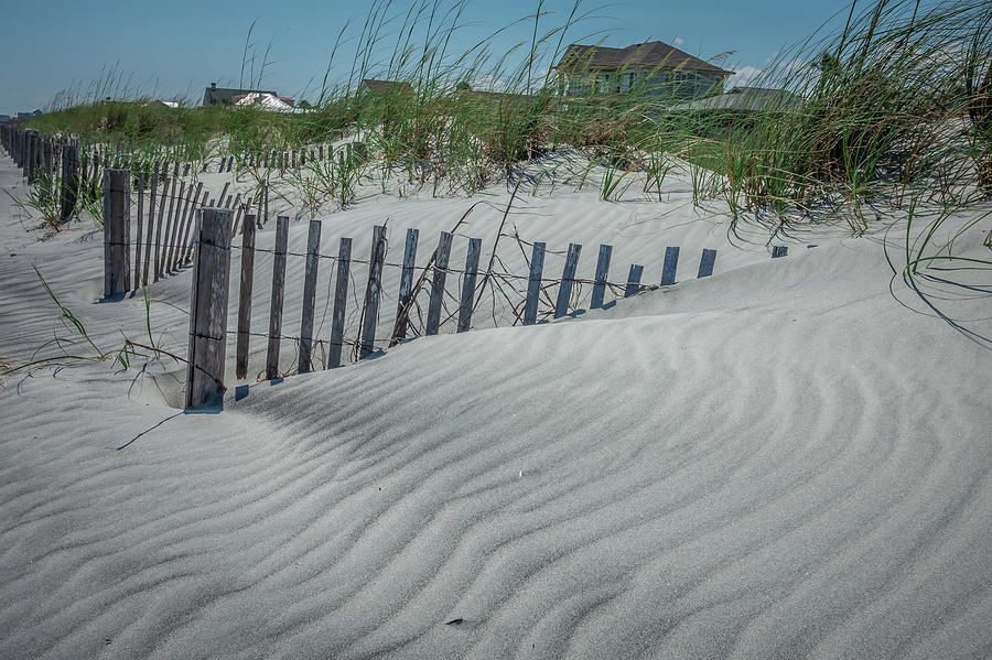Folly Beach Charleston South Carolina On Atlantic Ocean Photograph by Alex Grichenko