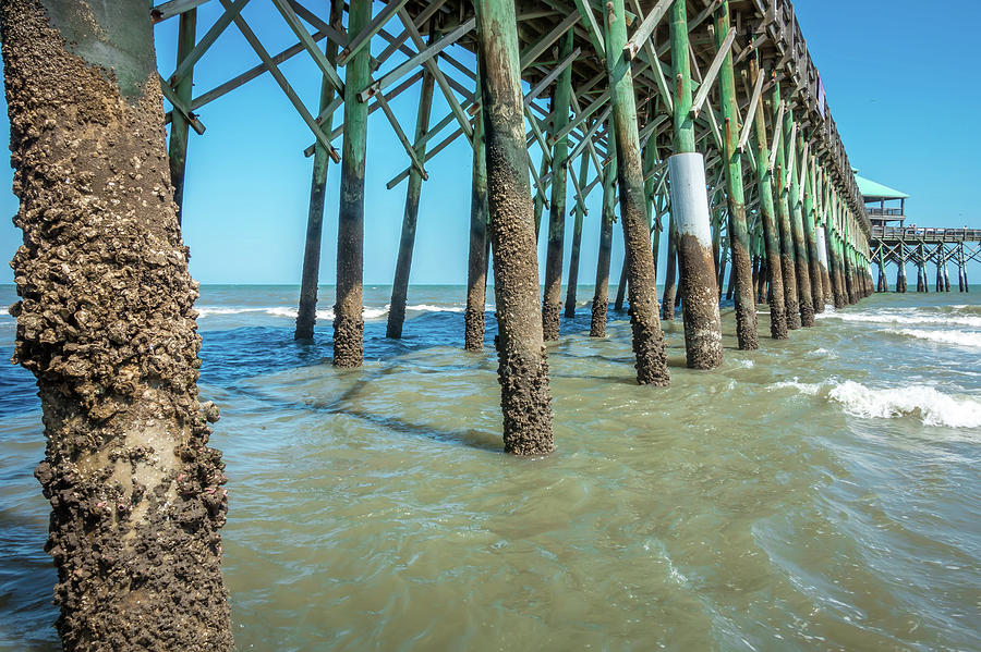 Folly Beach Pier In Charleston South Carolina Photograph by Alex Grichenko