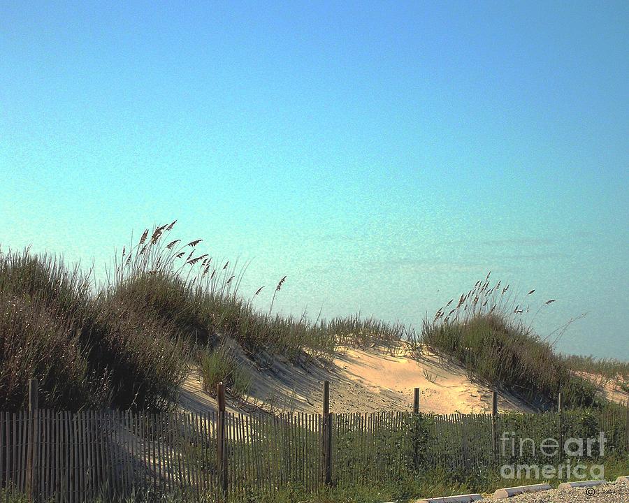 Folly Beach Sc Dunes Photograph