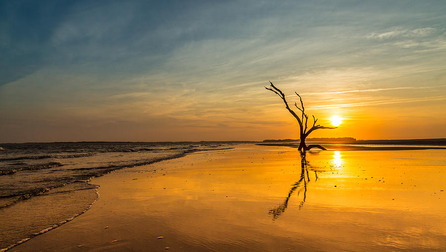 Folly Beach Skeleton Tree at Sunset - Folly Beach SC Photograph by Donnie Whitaker