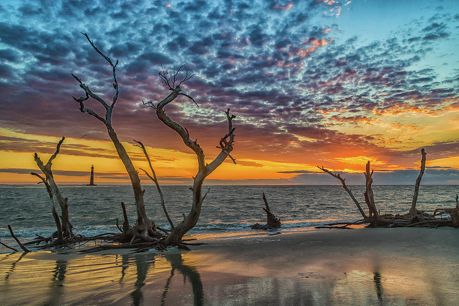 Folly Boneyard Photograph by Charles Lawhon - Fine Art America