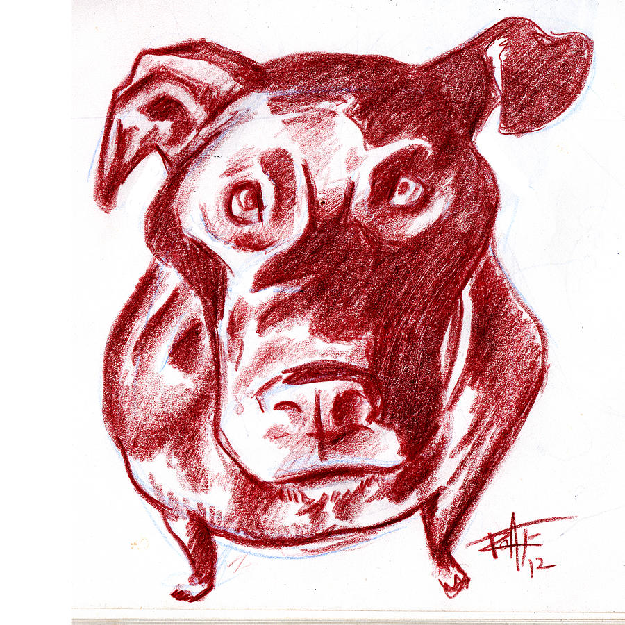 Dog Drawing - Food by Big Mike Roate