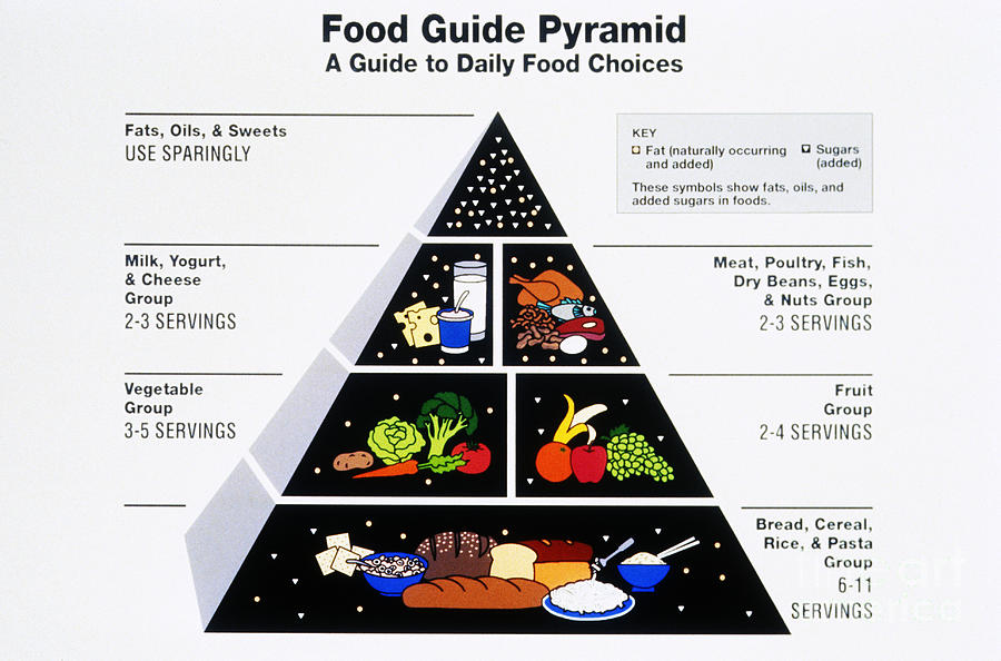 Food Pyramid Photograph by Photo Researchers