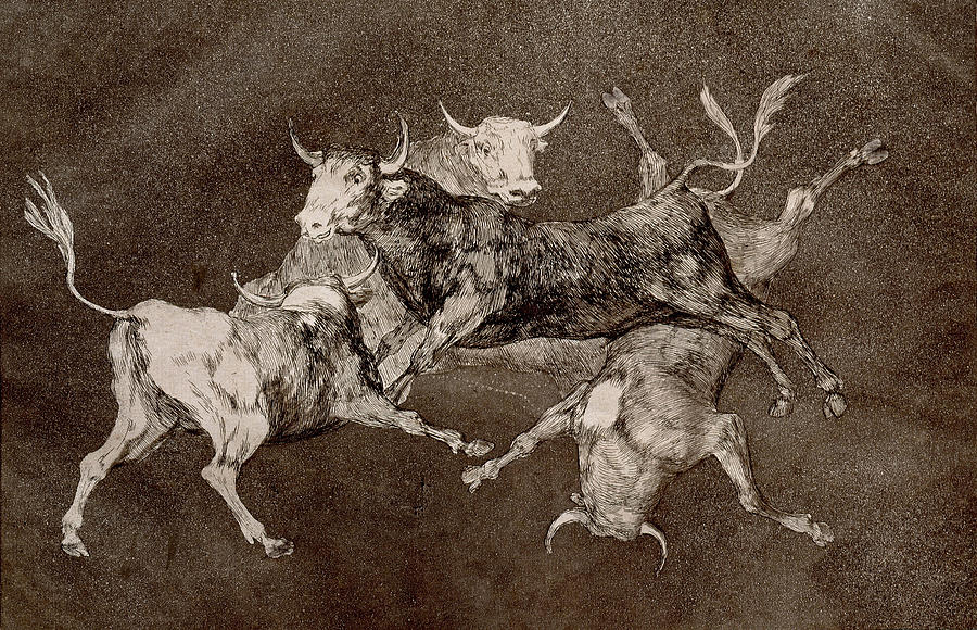 Fools Folly Drawing by Francisco Goya