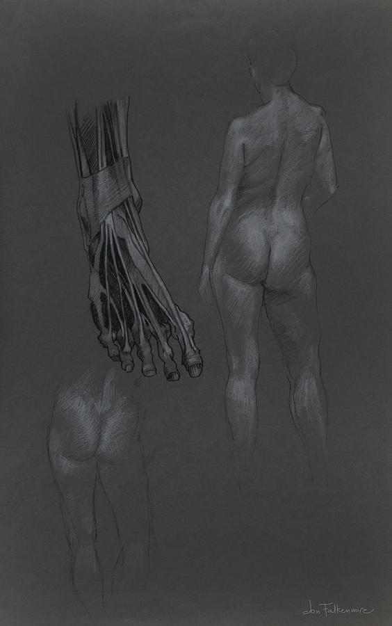 Foot Anatomy And Rear Figure. Student Work. Drawing