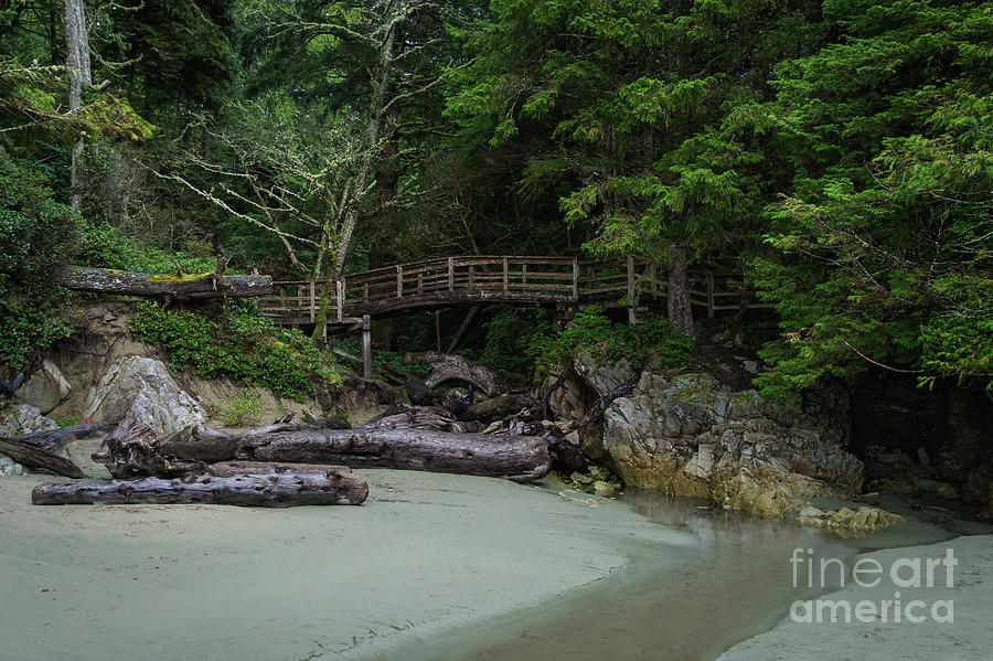 Foot bridge at Tonquin Beach Photograph by Carrie Cole