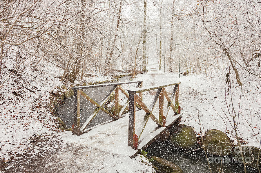 Foot bridge in snowy forest Photograph by Sophie McAulay