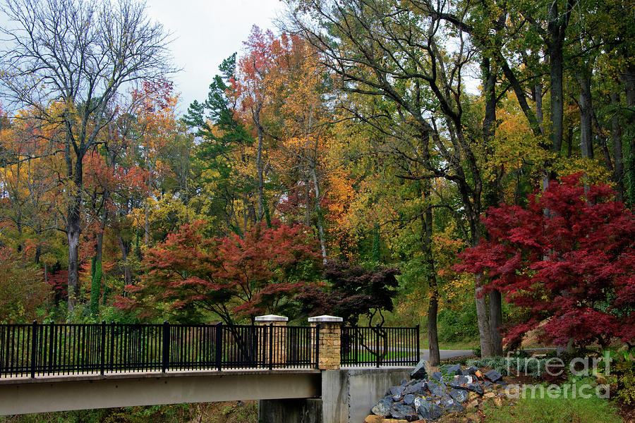 Foot Bridge in the Fall Photograph by Jill Lang