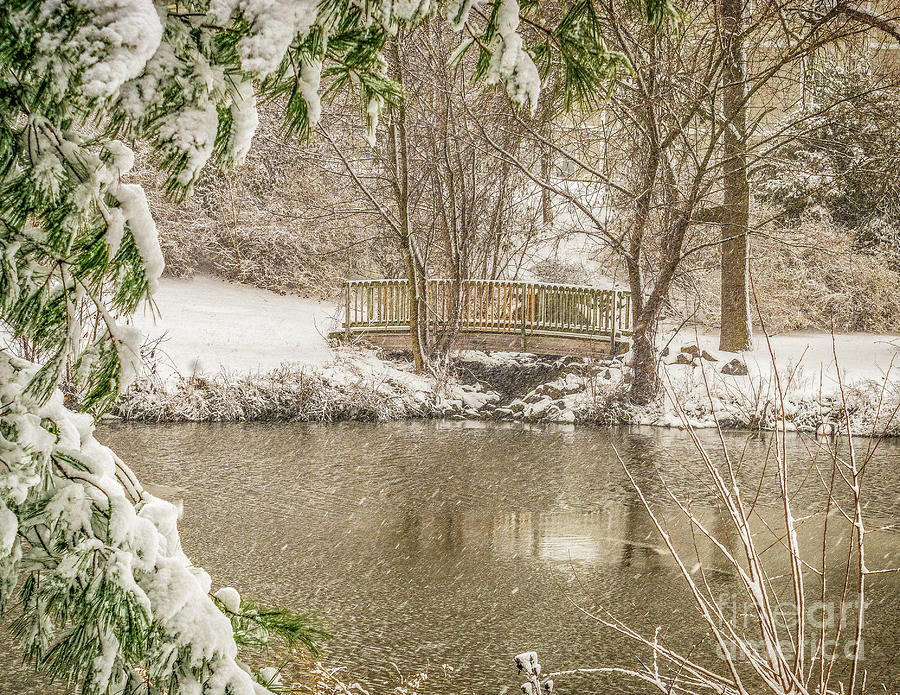 Foot Bridge in the Snow Photograph by Nick Zelinsky Jr