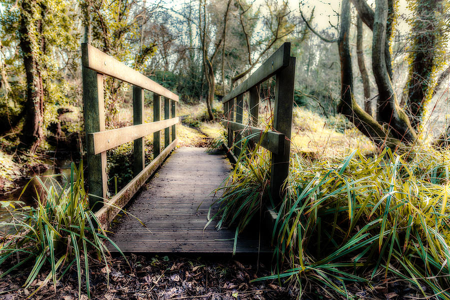 Foot Bridge in Winter Photograph by Nick Bywater