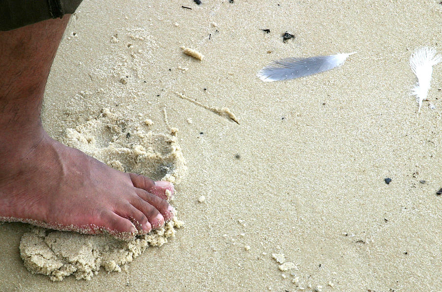 Foot  on  Beach -  Image  2 -  Cropped  Version Photograph by William Meemken