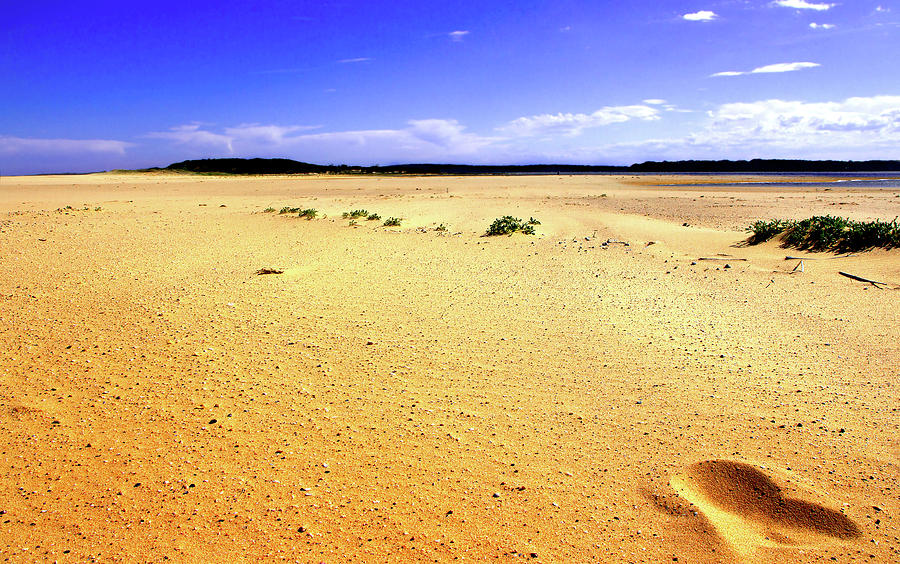 Nature Photograph - Foot Print In The Sand by Miroslava Jurcik