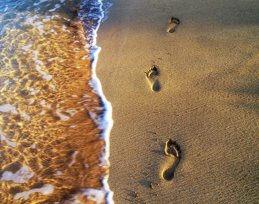 Foot Prints Photograph by Christopher Johnson