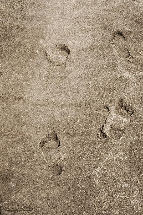 Foot Prints in the Sand Photograph by LeeAnn McLaneGoetz McLaneGoetzStudioLLCcom