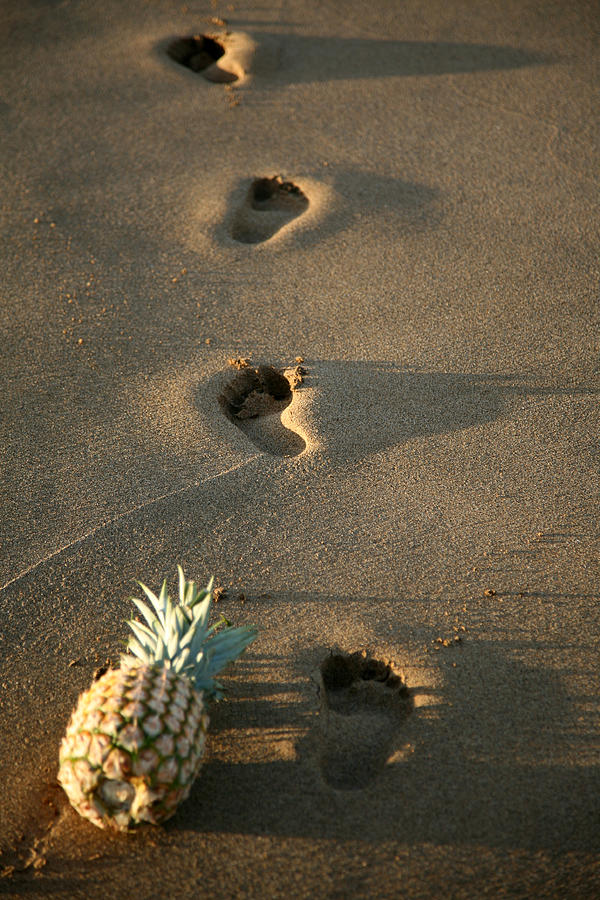 Beach Photograph - Foot Prints In The Sands Of Time by Mike Ledray