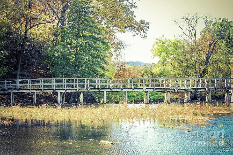 Footbridge Across the Water Photograph by Colleen Kammerer