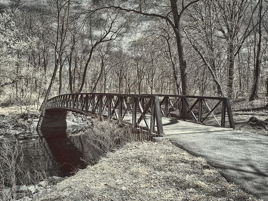 Pennypack Footbridge Photograph by Fred Moore