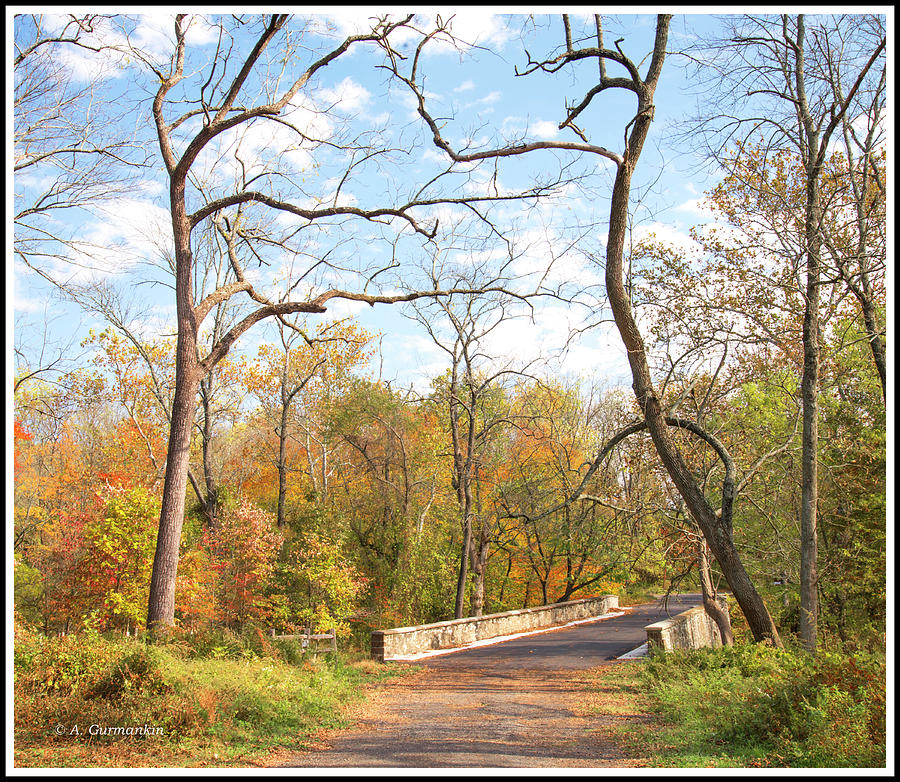Footbridge in Fall, Montgomery County, Pennsylvania Photograph by A Macarthur Gurmankin