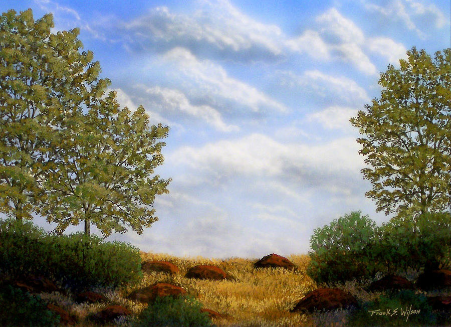 Foothills Afternoon Painting by Frank Wilson