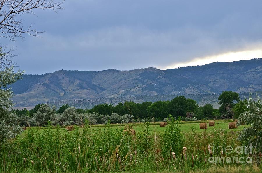 Foothills of Fort Collins Photograph by Cindy Schneider