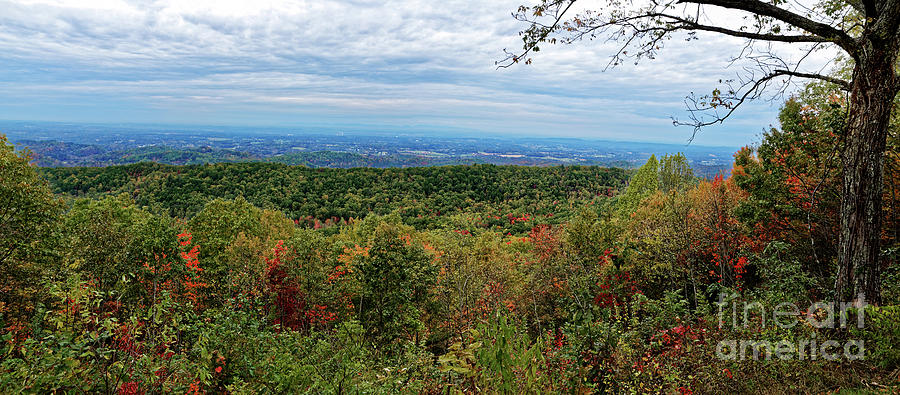 Foothills Parkway Fall Photograph by Paul Mashburn