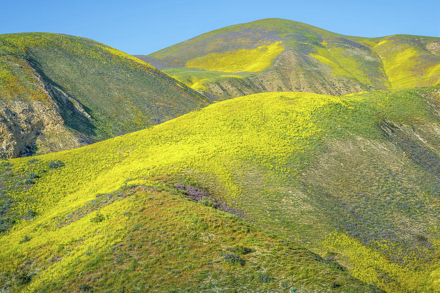 California Photograph - Foothills, Temblor Range by Joseph Smith California Photograph - Foothills, Temblor Range by Joseph Smith