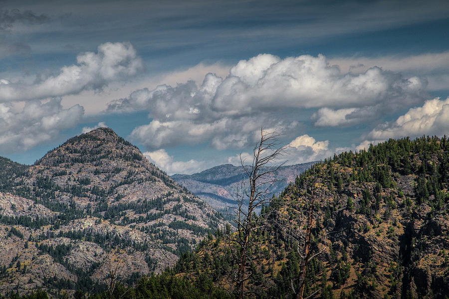 Foothills with Puffy Clouds in Yellowstone Photograph by Randall Nyhof