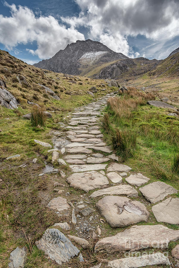 Footpath To Tryfan Photograph by Adrian Evans