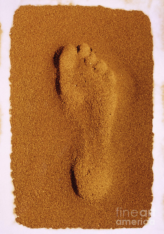 Footprint Photograph by Casper Cammeraat