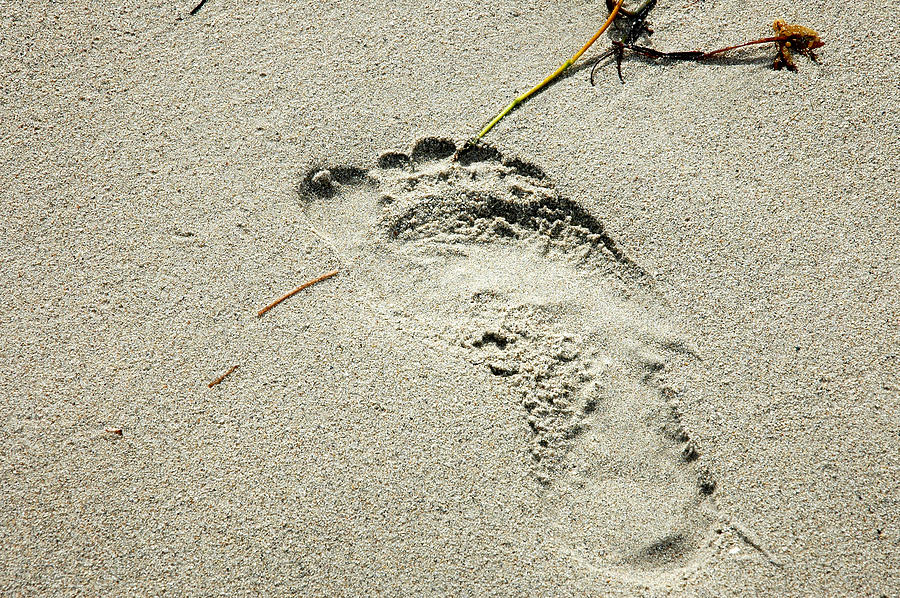 Footprint in the Sand  - South Beach Miami Photograph by Frank Mari