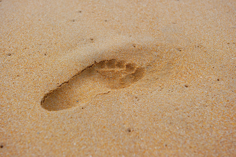 Footprint in the Sand ii Photograph by Helen Jackson
