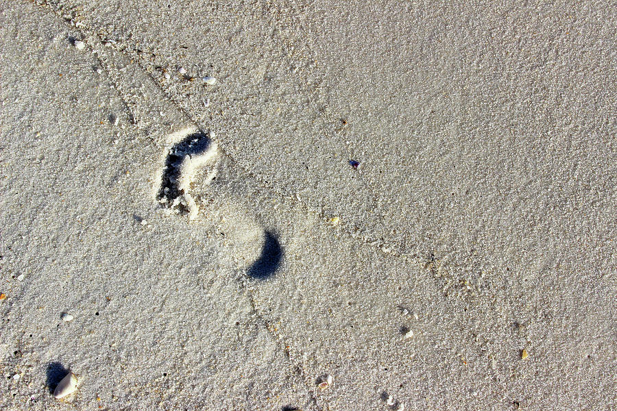 Footprint in the Sand Photograph by Karen Adams