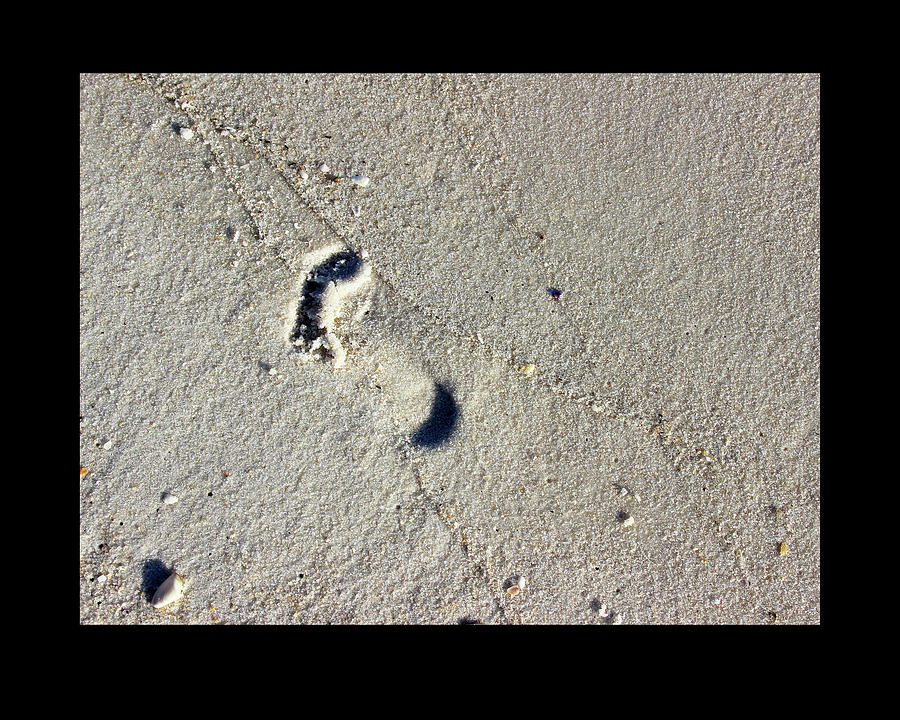 Footprint in the Sand with Black Border Photograph by Karen Adams