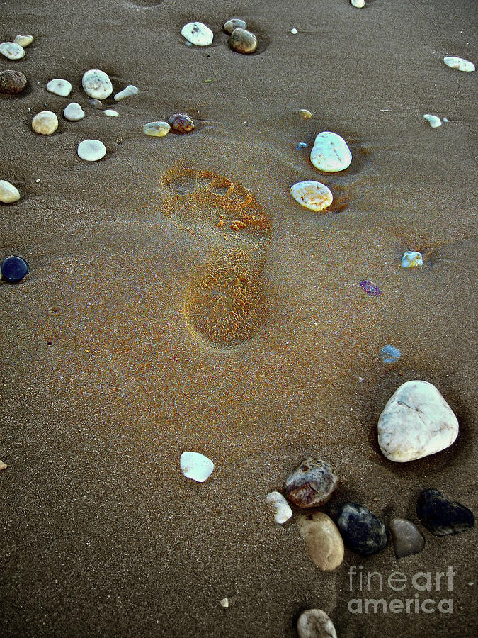 Footprint On Beach Sand Photograph by Nina Ficur Feenan