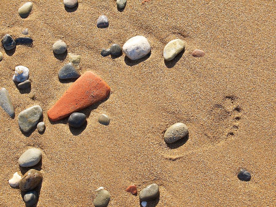 Footprint on sand Photograph by Jouko Lehto