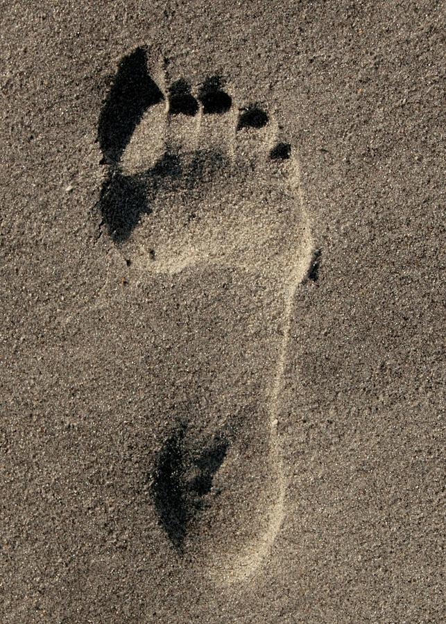 Footprint Photograph by Robert Wilder Jr