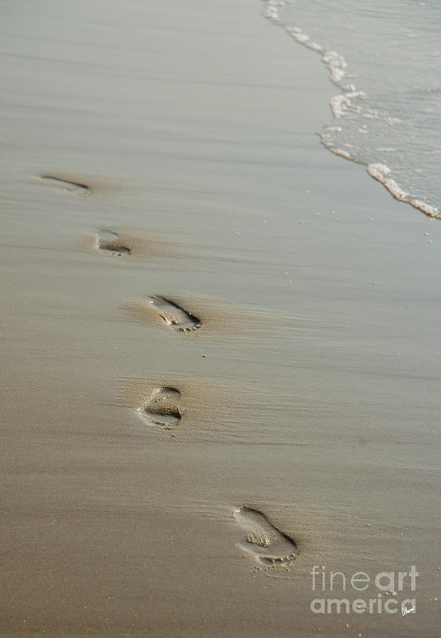 Footprints Photograph by Alana Ranney