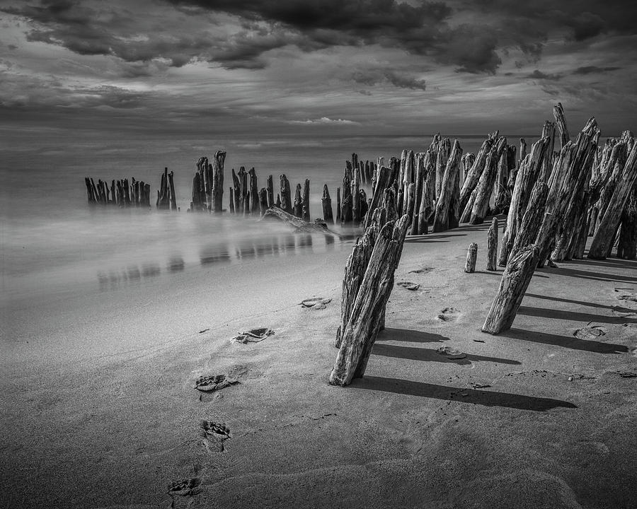 Footprints and Pilings on the Beach in Black and White Photograph by Randall Nyhof