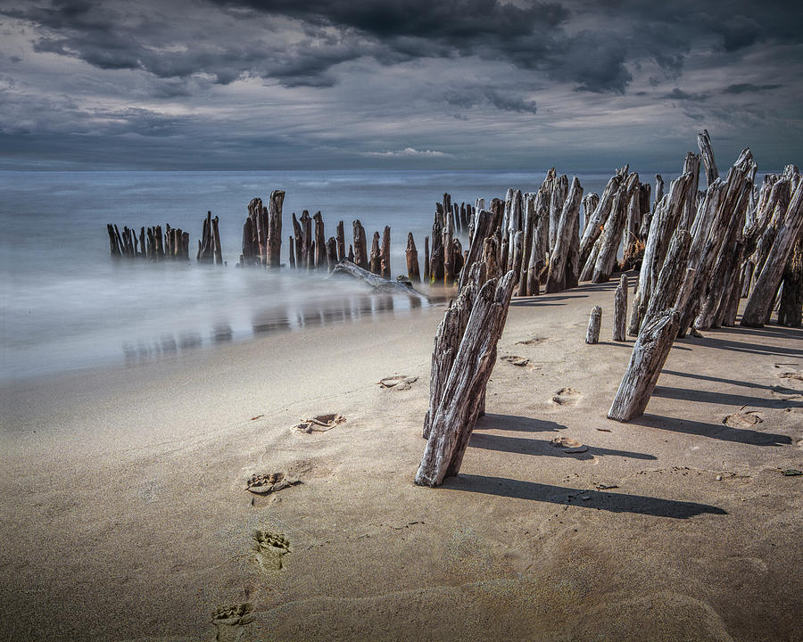 Footprints and Pilings on the Beach Photograph by Randall Nyhof