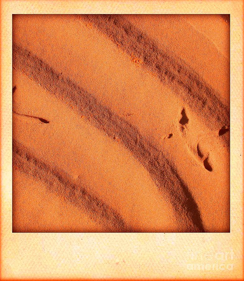 Footprints Photograph by Christine Paris