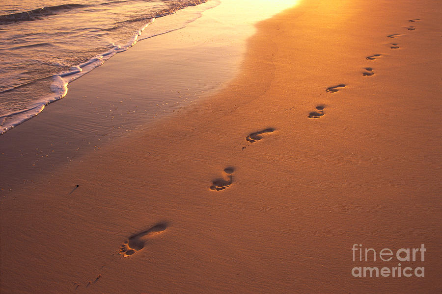 Footprints Photograph by Dana Edmunds - Printscapes