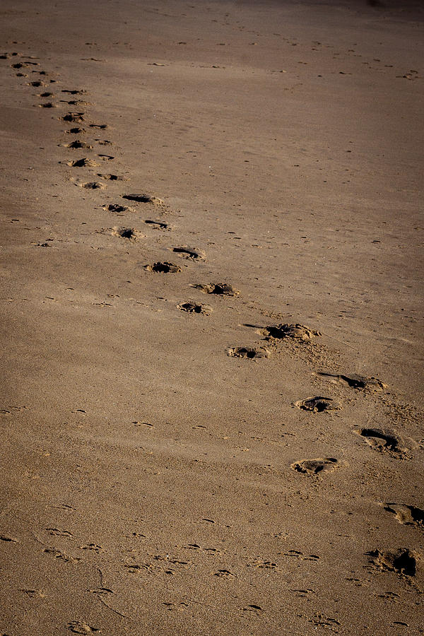 Footprints Photograph by David Barile