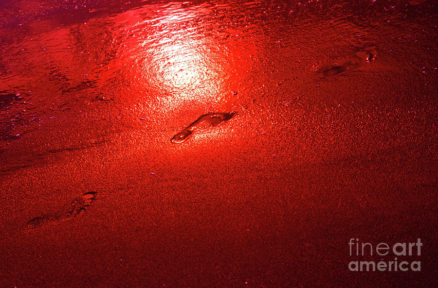 Footprints in Sand at Sunset- Neskowin Beach Photograph by Rick Bures