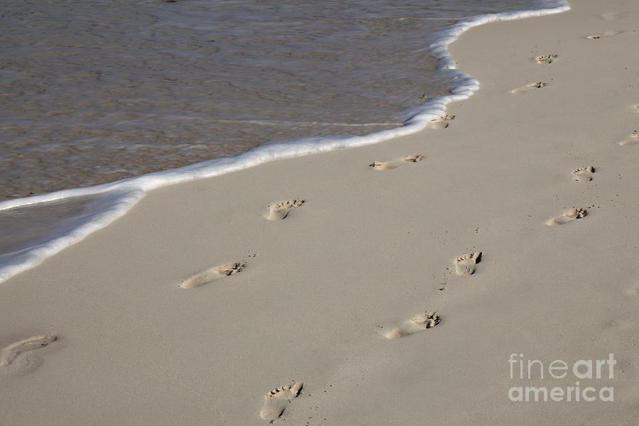 Footprints in the Sand Photograph by Anthony Totah